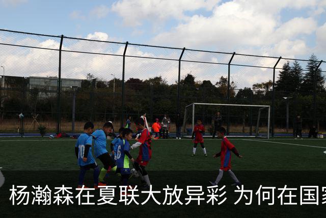 杨瀚森在夏联大放异彩 为何在国家队判若两人 到底有何玄机